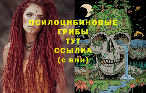 МДПВ Абинск